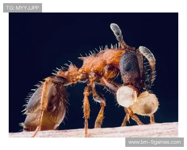 《在恐怖游戏中通过显微镜探索微生物的神秘世界》 《在恐怖游戏中通过显微镜探索微生物的神秘世界》